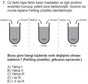 9. Sınıf Biyoloji Test 3 Soru-7