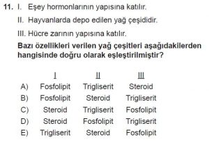 9. Sınıf Biyoloji Test 4 Soru-11