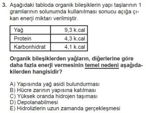 9. Sınıf Biyoloji Test 4 Soru-3