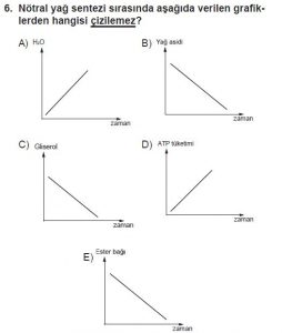 9. Sınıf Biyoloji Test 4 Soru-6