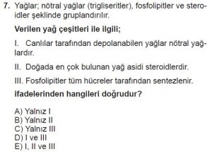 9. Sınıf Biyoloji Test 4 Soru-7