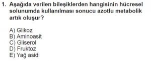 9. Sınıf Biyoloji Test 5 Soru-1