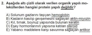 9. Sınıf Biyoloji Test 5 Soru-2