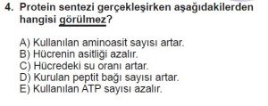 9. Sınıf Biyoloji Test 5 Soru-4