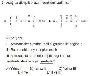 9. Sınıf Biyoloji Test 5 Soru-5