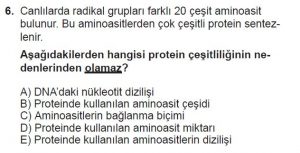 9. Sınıf Biyoloji Test 5 Soru-6