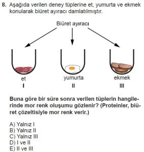 9. Sınıf Biyoloji Test 5 Soru-8