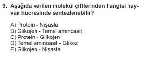 9. Sınıf Biyoloji Test 5 Soru-9