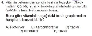 9. Sınıf Biyoloji Test 6 Soru-4