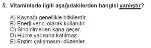 9. Sınıf Biyoloji Test 6 Soru-5