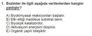 9. Sınıf Biyoloji Test 7 Soru-1