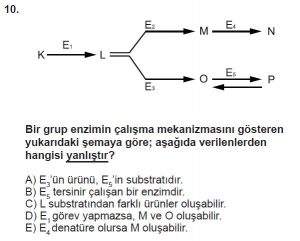 9. Sınıf Biyoloji Test 7 Soru-10