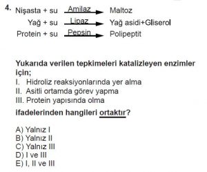9. Sınıf Biyoloji Test 7 Soru-4