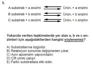 9. Sınıf Biyoloji Test 7 Soru-5
