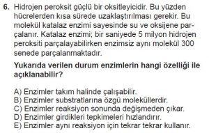 9. Sınıf Biyoloji Test 7 Soru-6