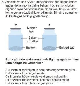 9. Sınıf Biyoloji Test 7 Soru-7