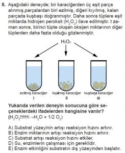 9. Sınıf Biyoloji Test 7 Soru-8