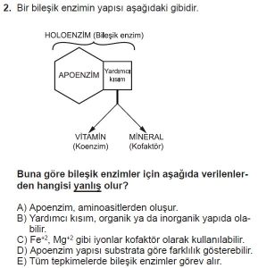 9. Sınıf Biyoloji Test 8 Soru-2