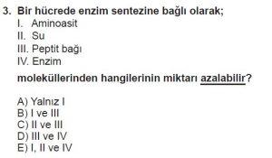 9. Sınıf Biyoloji Test 8 Soru-3
