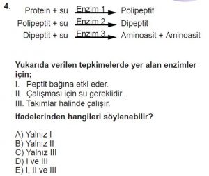 9. Sınıf Biyoloji Test 8 Soru-4