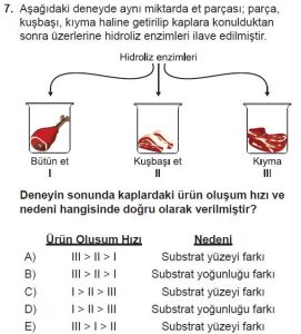 9. Sınıf Biyoloji Test 8 Soru-7