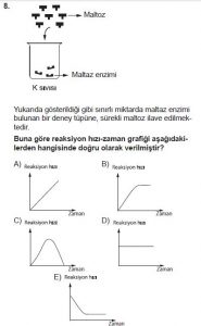 9. Sınıf Biyoloji Test 8 Soru-8