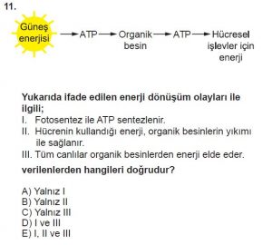 9. Sınıf Biyoloji Test 9 Soru-11