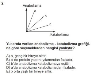 9. Sınıf Biyoloji Test 9 Soru-2
