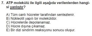 9. Sınıf Biyoloji Test 9 Soru-7