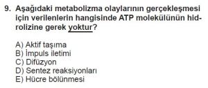 9. Sınıf Biyoloji Test 9 Soru-9