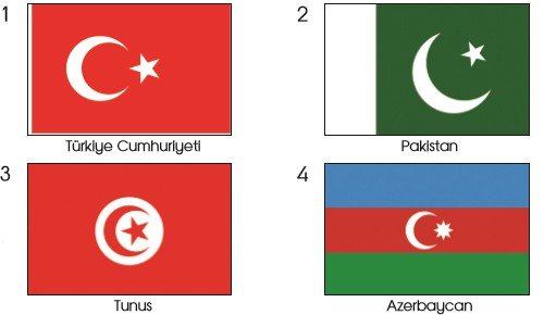 Bayrağım 1. Etkinlik Cevabı