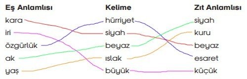 Değerlerimiz Eşleştirme Cevabı