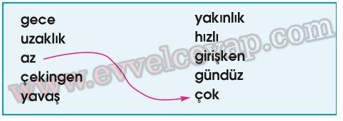 Gezegenlerin Kabul Günü 3. Etkinlik