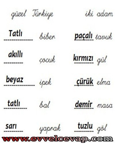 Güzel Yurdum Türkiyem 3. Etkinlik Cevabı