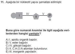 Mezun Biyoloji A Test 10 Soru-11