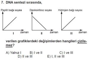 Mezun Biyoloji A Test 10 Soru-7