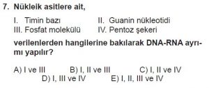 Mezun Biyoloji A Test 11 Soru-7