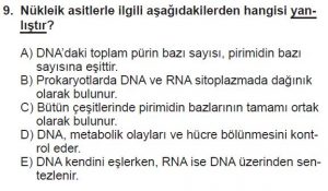 Mezun Biyoloji A Test 11 Soru-9