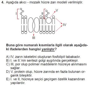 Mezun Biyoloji A Test 12 Soru-4