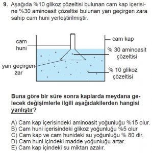 Mezun Biyoloji A Test 12 Soru-9