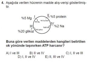 Mezun Biyoloji A Test 15 Soru-4