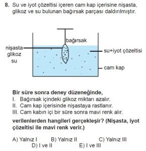 Mezun Biyoloji A Test 15 Soru-8