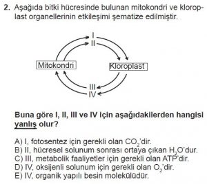 Mezun Biyoloji A Test 17 Soru-2