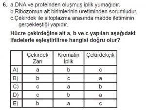 Mezun Biyoloji A Test 17 Soru-6