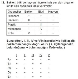 Mezun Biyoloji A Test 18 Soru-12