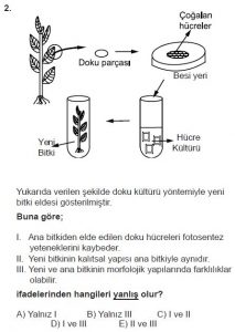 Mezun Biyoloji A Test 18 Soru-2