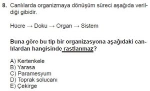 Mezun Biyoloji A Test 2 Soru-8