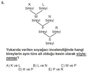 Mezun Biyoloji A Test 20 Soru-6