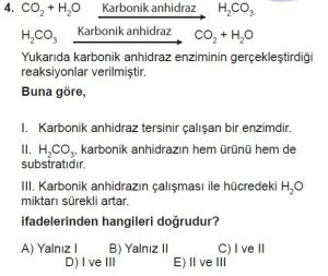 Mezun Biyoloji A Test 7 Soru-4