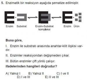 Mezun Biyoloji A Test 7 Soru-5